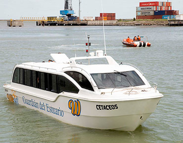Whest, Guardián del Estuario